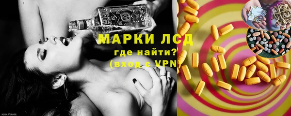 ECSTASY Алзамай