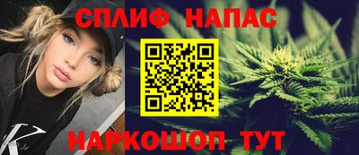 a pvp Дубна
