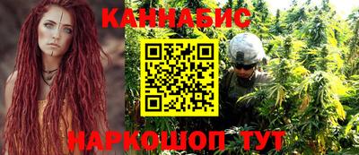 a pvp Дубна