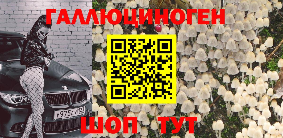 Галлюциногенные грибы GOLDEN TEACHER  Вход с VPN  Нижневартовск  Галлюциногенные грибы Psilocybine cubensis 