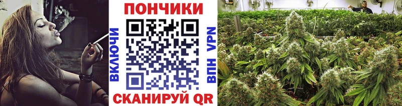 Шишки марихуана ГИДРОПОН  Нижневартовск 